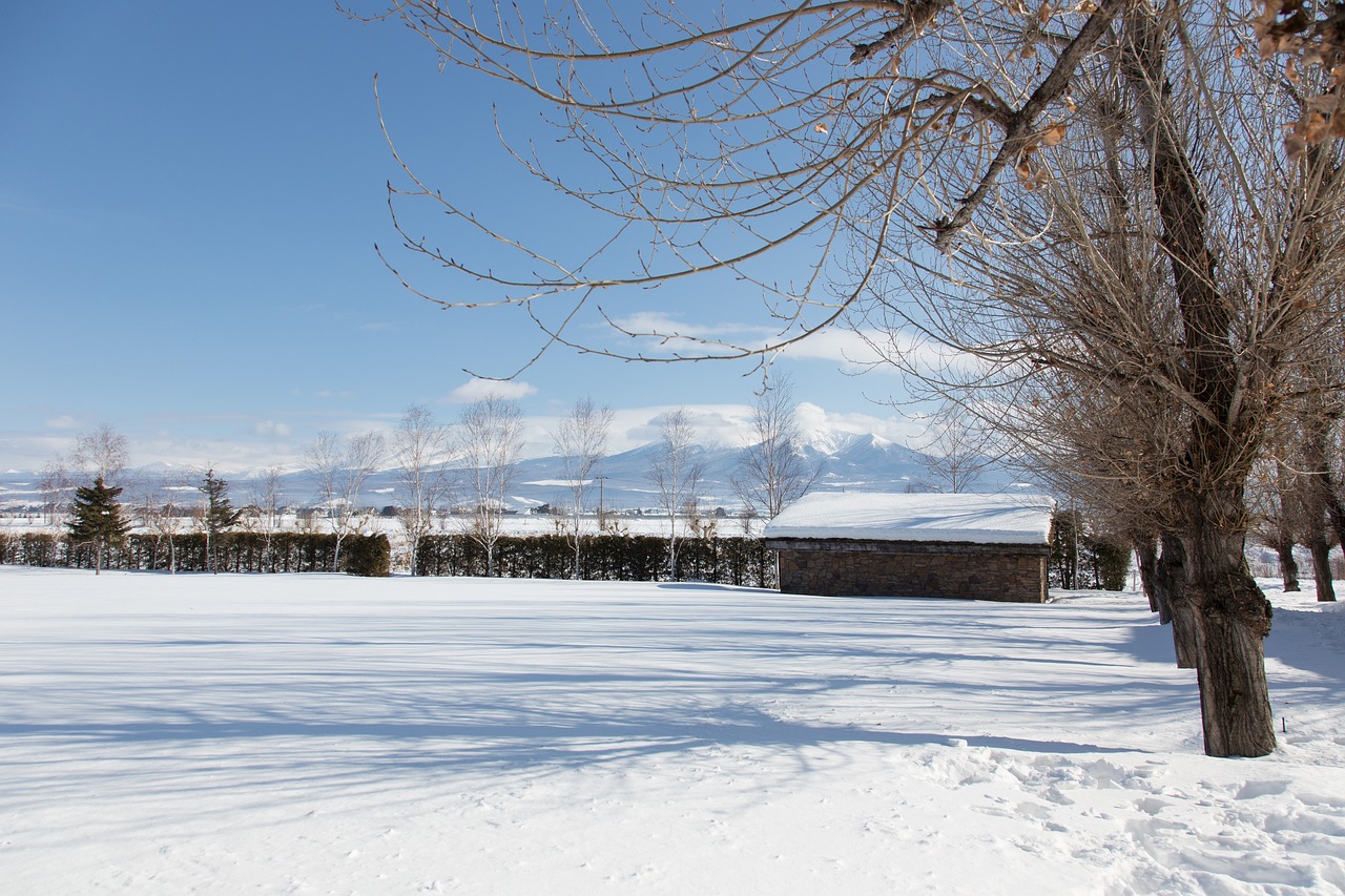 冬季旅游景点介绍，探索雪国与暖阳之境冬季旅游景点介绍作文