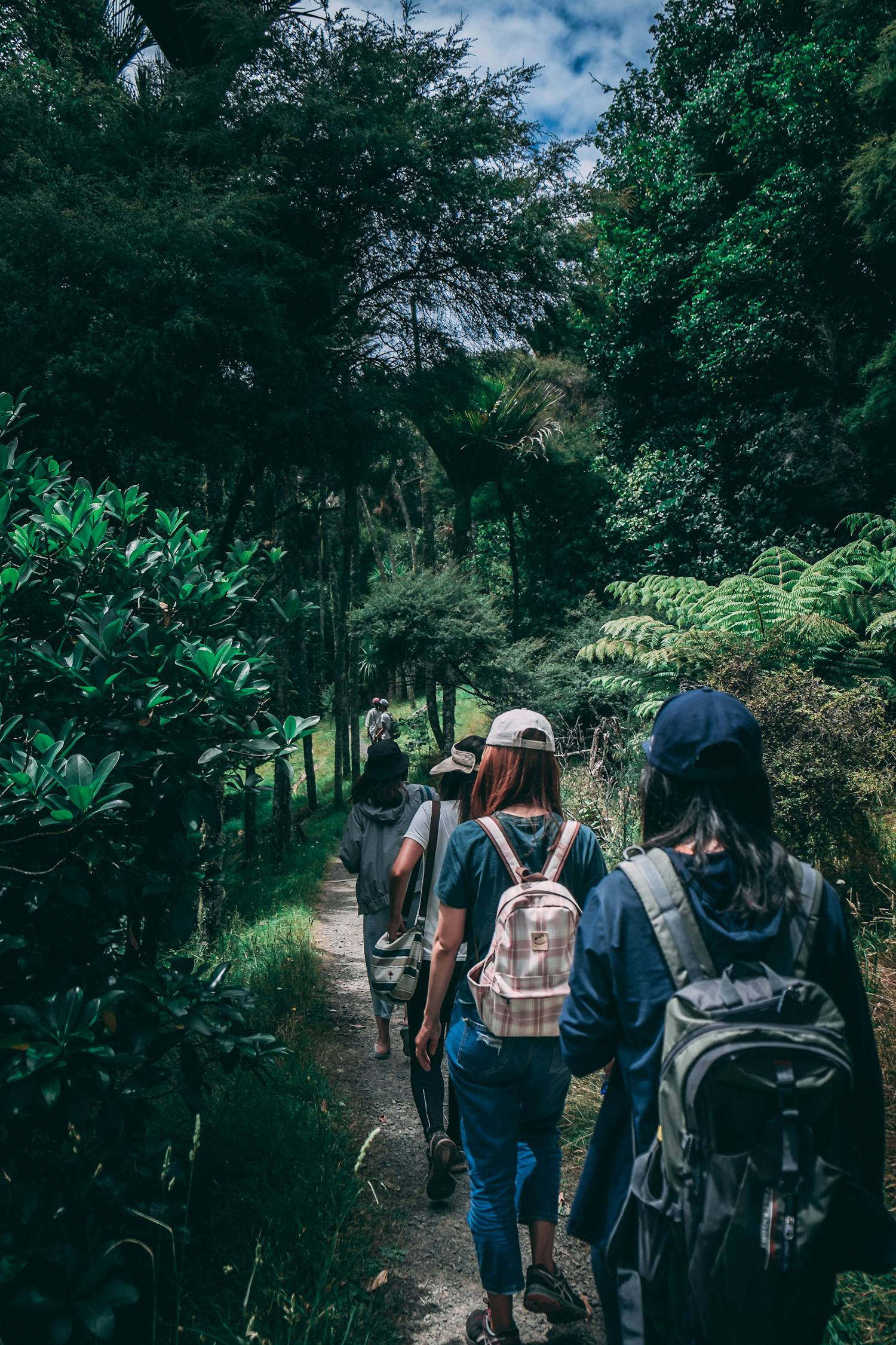 丛林探险之旅，一次难忘的冒险体验去丛林探险的感受和收获