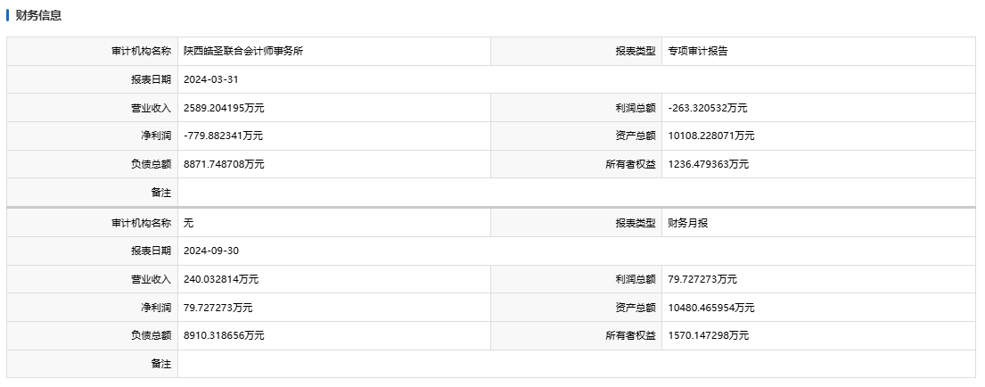 
          
            一场股权拍卖，浮现陕西投资“大拿”
        