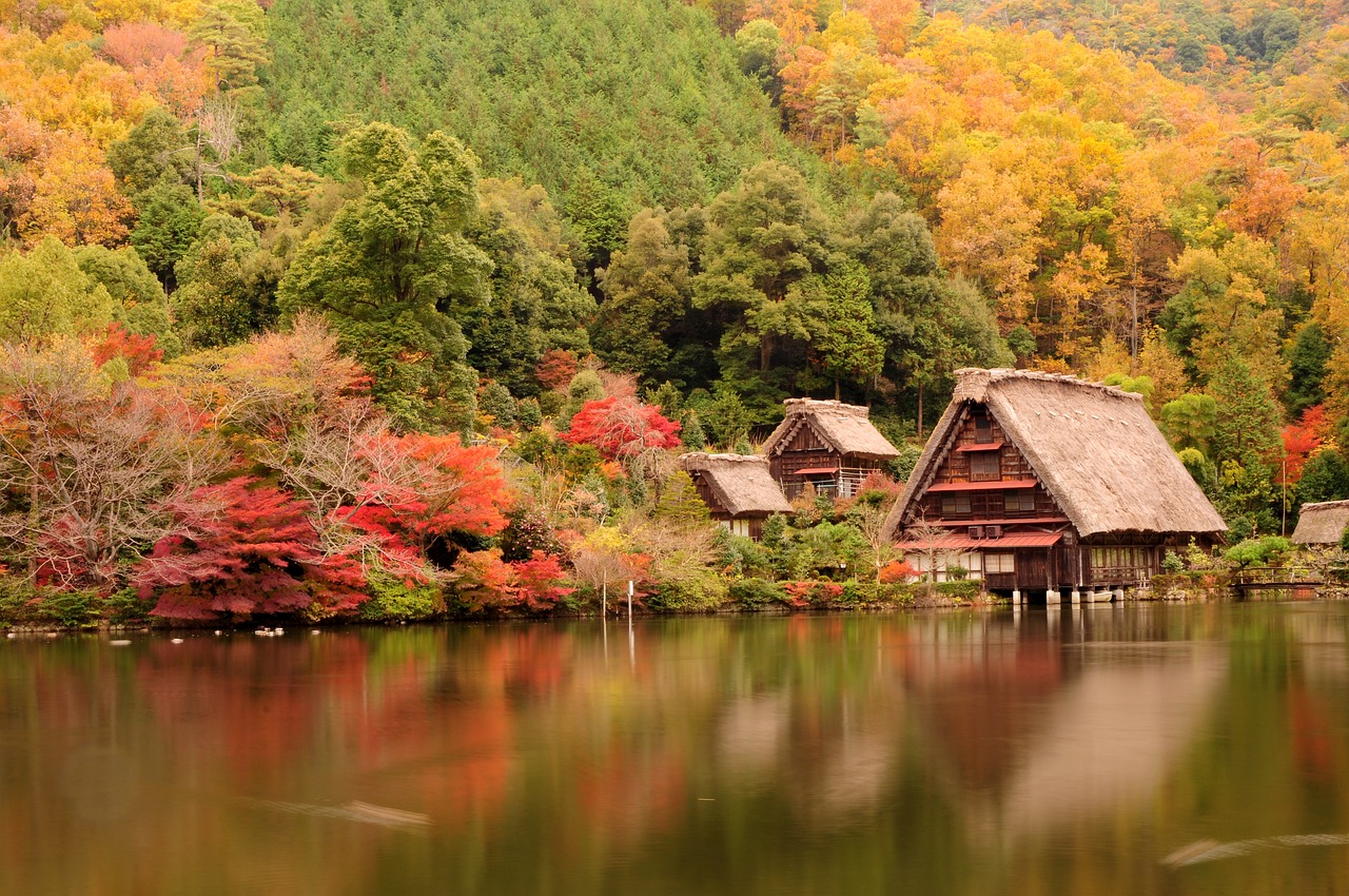 2025年日本樱花季旅游费用预计上涨5%