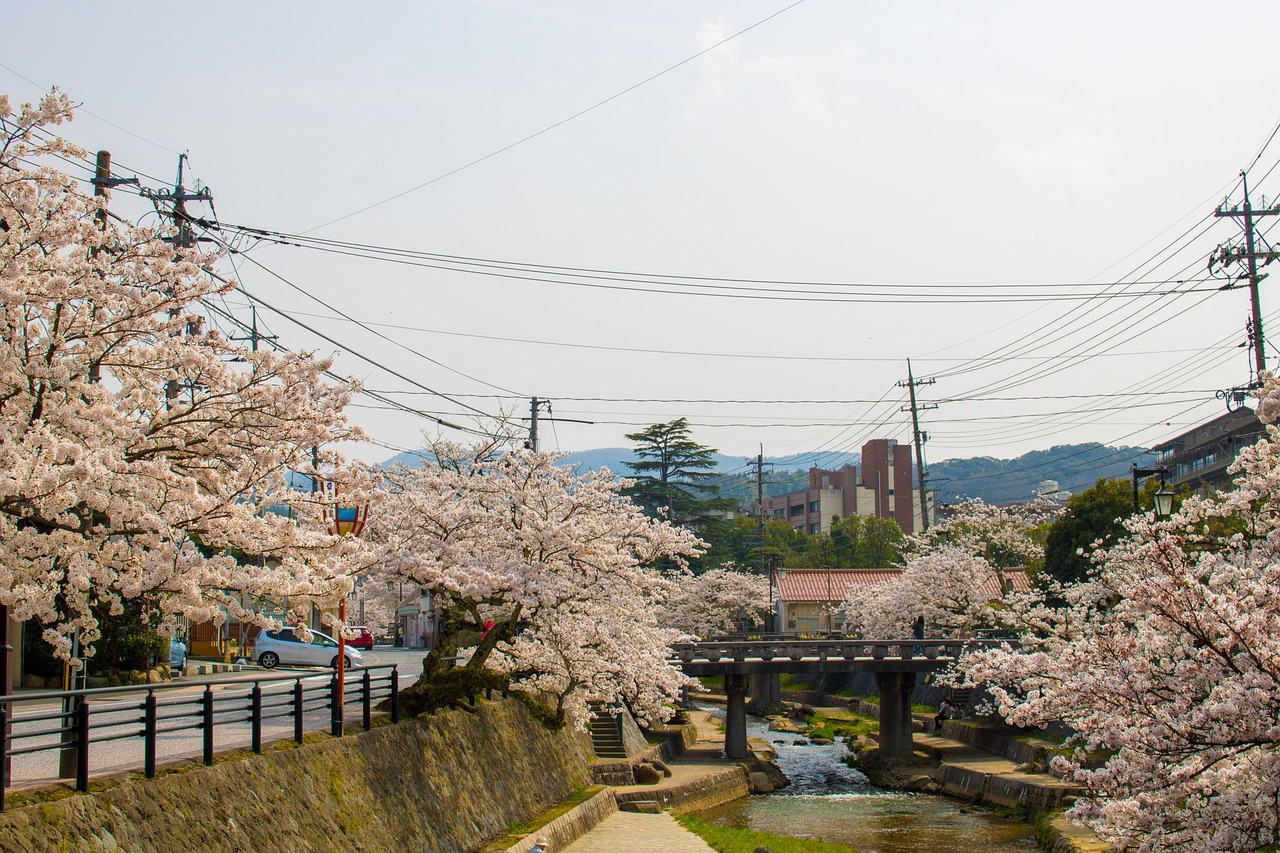 乡村旅游特色小吃，品味乡村的独特魅力特色乡村旅游景点